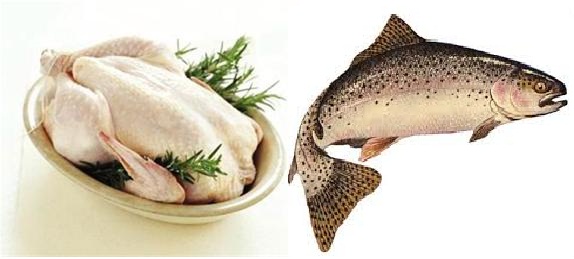 میزان مصرف گوشت مرغ و ماهی