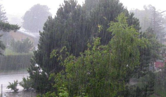 بارش باران و رعد و برق در 15 استان