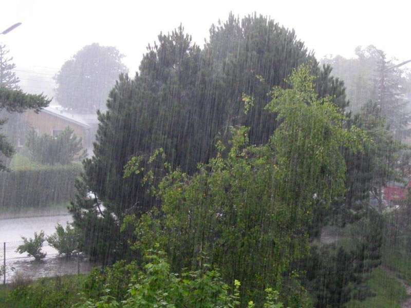 بارش باران و رعد و برق در 15 استان